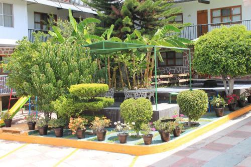 Hotel Avenida