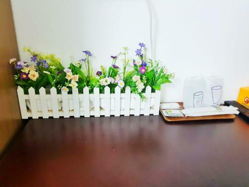 Green Box Capsule Hostel & Hotel