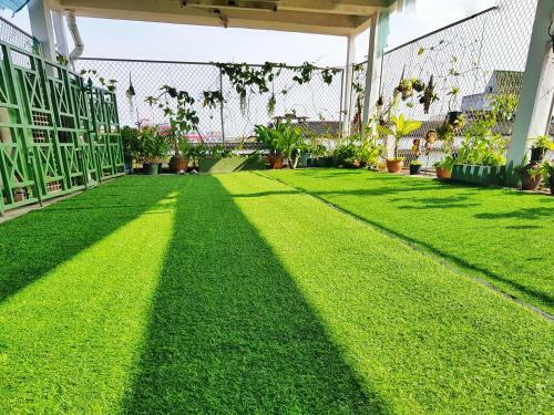 Green Box Capsule Hostel & Hotel