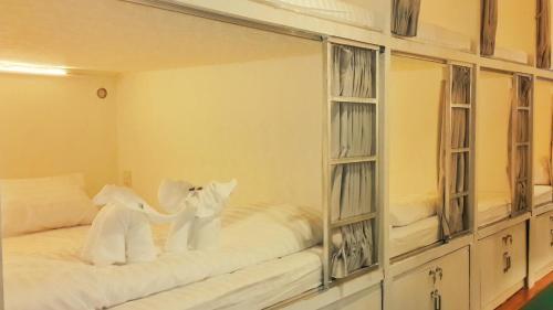 Green Box Capsule Hostel & Hotel