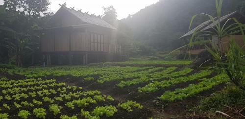 Hotel Namkat Yorla Pa Resort