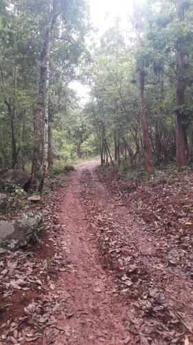 Site 52 - Ban Pakeo & Home Stay ( Full Board)