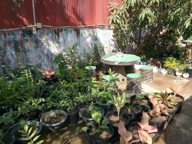 Albergue Nt Backpackers
