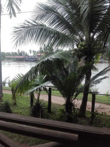 Hostal River Garden Guesthouse