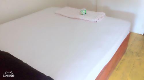 Hostal Green Buffalo G.h And Bar