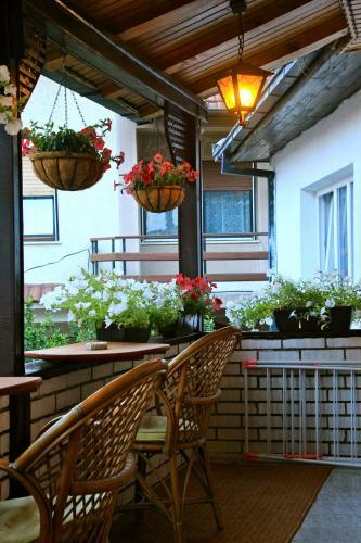 Hostel Bushati