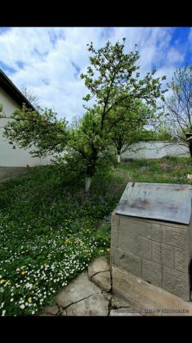 Bed & Breakfast Bujtina Zhaveli