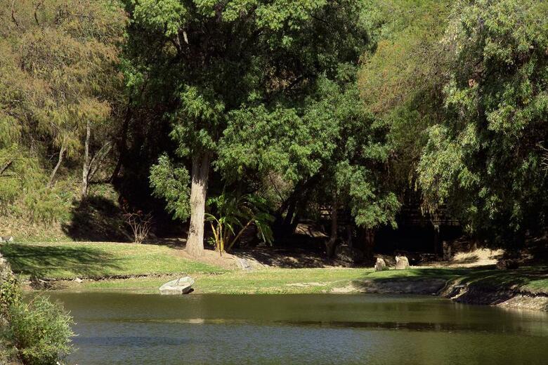 Hotel Rancho San Diego Grand Spa Resort