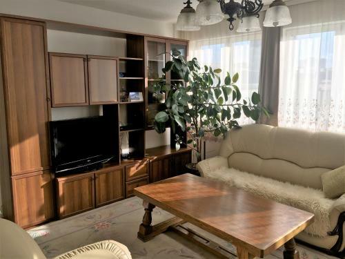 Center Apartment