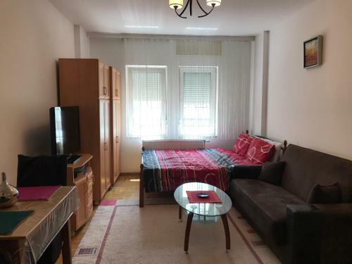 Studio Apartment Center