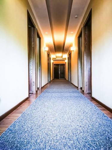 Hotel Salut