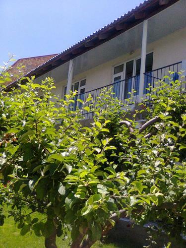 Hostal Boomerang Guest House