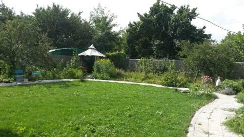 ?????? ?? ??????????