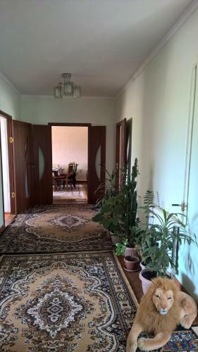 Hostal Gulnara Guesthouse