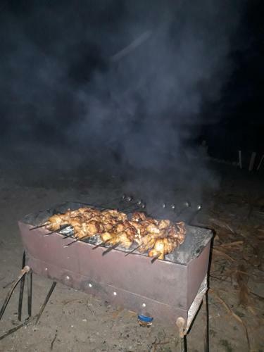 Yurt Camp Sonun