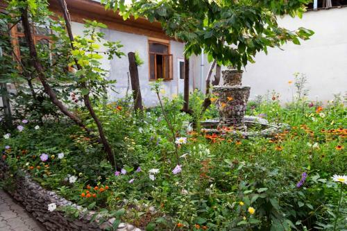 Hostal Lovely Home For You