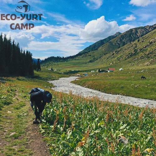 Bed & Breakfast Eco Yurt Camp Arashan & Gulnara