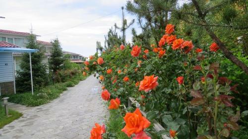 Apartments Natali Resort