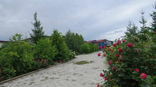 Apartments Natali Resort