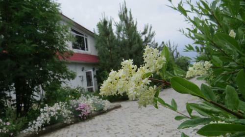 Apartments Natali Resort