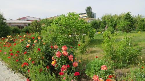 Apartments Natali Resort