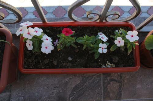 Hostal Guest House Etnodom