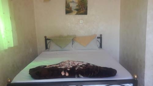 Albergue Bedouin Moon Village - Aqaba