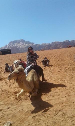 Saiel Tourist Camp