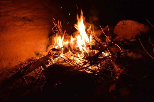 Petra Bedouin Bed And Breakfast