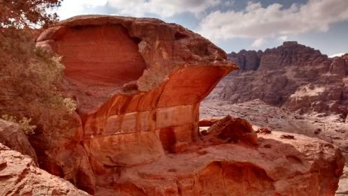 Petra Bedouin Bed And Breakfast