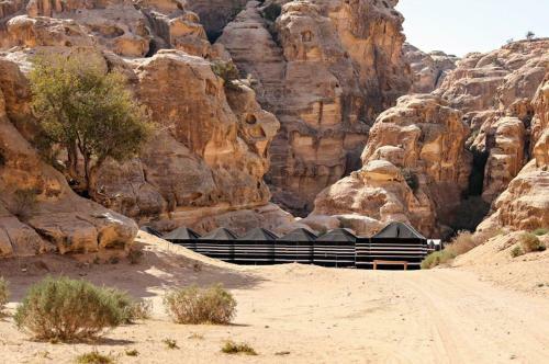 Ammarin Bedouin Camp