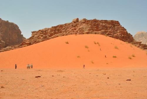 Wadi Rum Green Desert