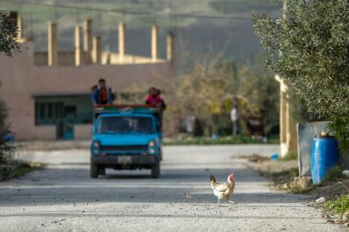 Bed & Breakfast Beit Al Baraka