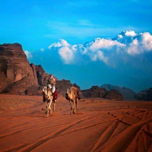 Wadi Rum Desert Camp