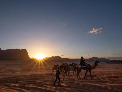 Wadi Rum Desert Camp