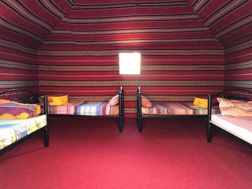 Nights With Bedouin & Jeep Tours