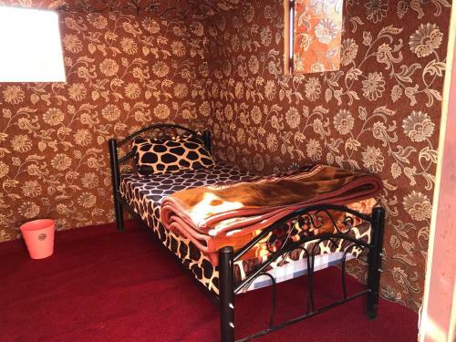 Nights With Bedouin & Jeep Tours