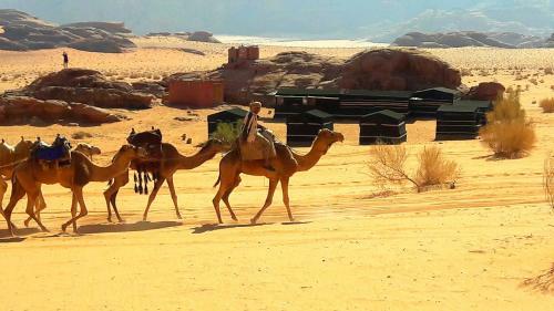 Albergue Wadi Rum 7 Pillars Camp