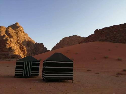 Wadi Rum Blue Sky And Tour