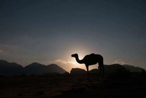 Wadi Rum Blue Sky And Tour