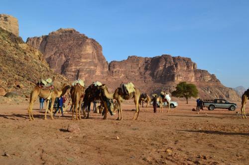 Wadi Rum Blue Sky And Tour