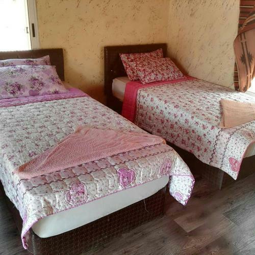 Hotel Rainbow Camp