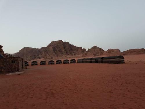 Bedouin Tours Camp