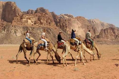 Bedouin Tours Camp