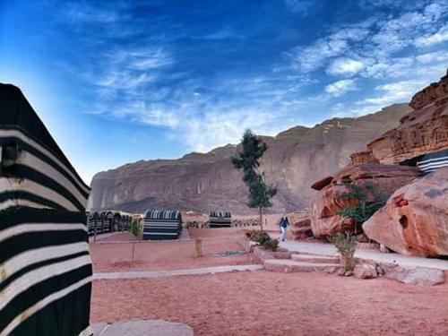 Bedouin Tours Camp