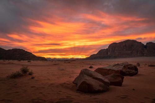 Bedouin Tours Camp