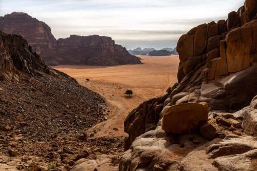 Bedouin Tours Camp