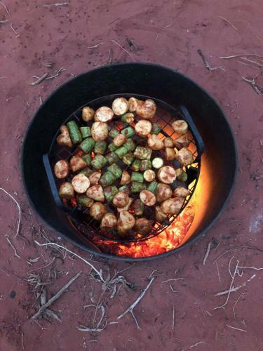 Bedouin Tours Camp