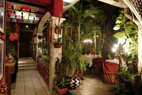 Hotel Boutique Casa Mexicana