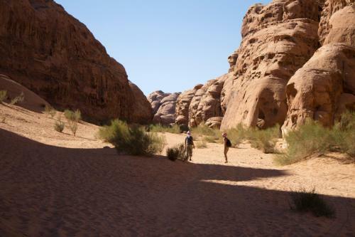 Magic Bedouin Star
